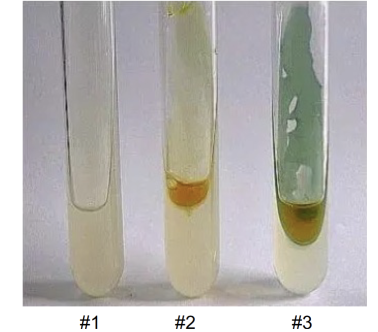 <ul><li><p>Results</p><ul><li><p>Positive = DEEP GREEN</p></li><li><p>Negative = YELLOW (color of reagent aka NO color change)</p></li></ul></li></ul><p>#1 in picture = or reagent or inoculation</p>