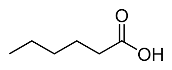 <p>what is the name of this structure (common name)? </p><p>what is the IUPAC name of this structure? </p>