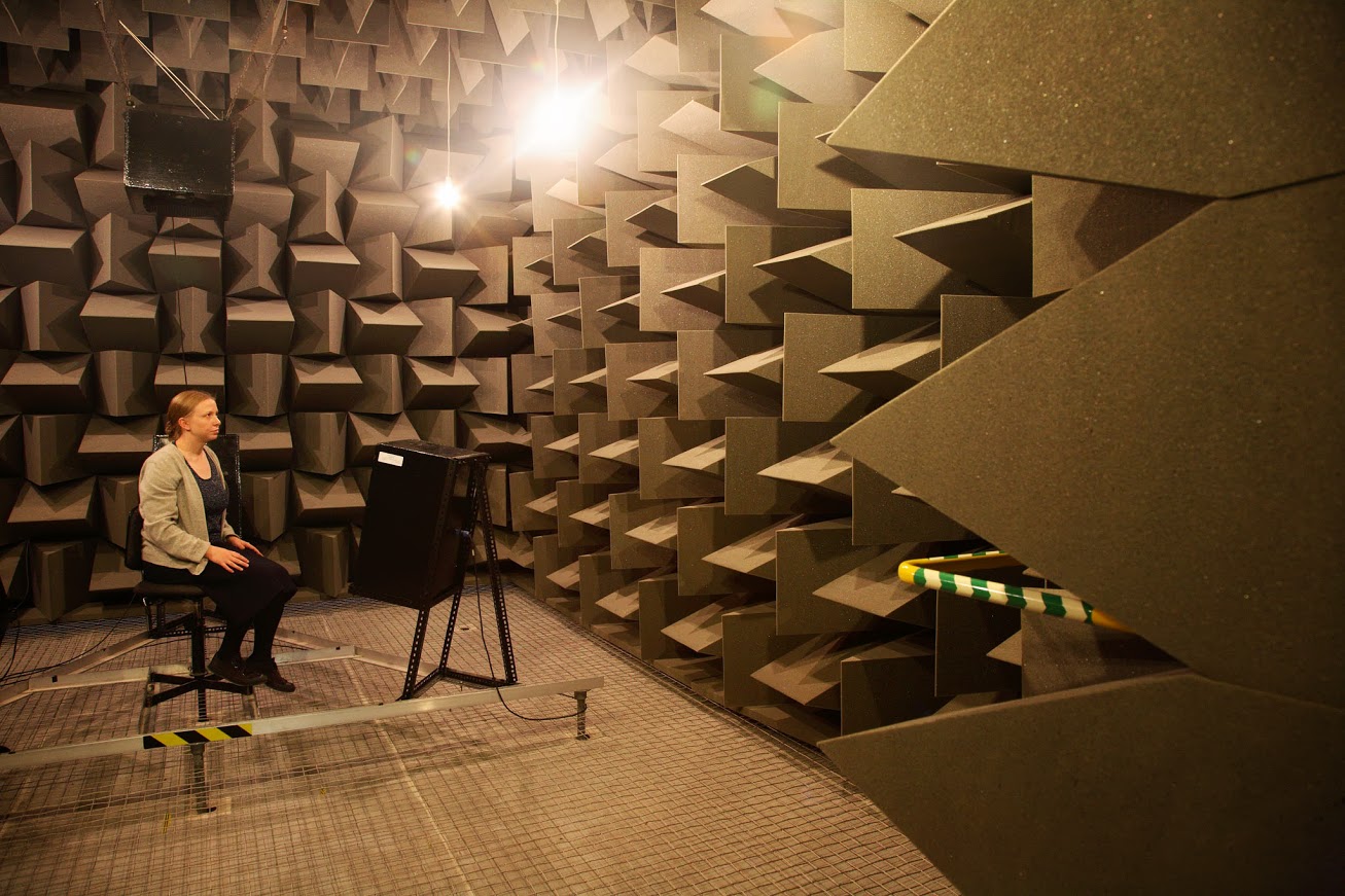 <p>what are anechoic rooms? give an example</p>