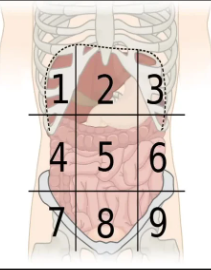 <p>left lumbar</p>