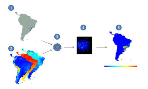 <ul><li><p>Find specimens</p></li><li><p>Get all of the relevant data to where the species is living (climate, precipitation, temp, humidity, etc.) </p></li><li><p>Computer calculates and creates a heat map </p></li></ul><p></p>
