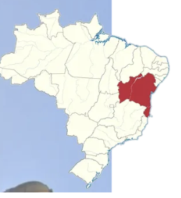 <p>Bahia</p>