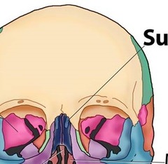 <p>Identify this part.</p>