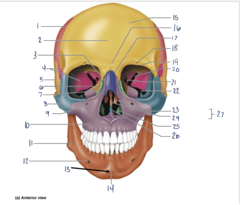 <p>11</p>