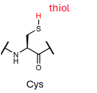 <p>thiol pKa?</p>