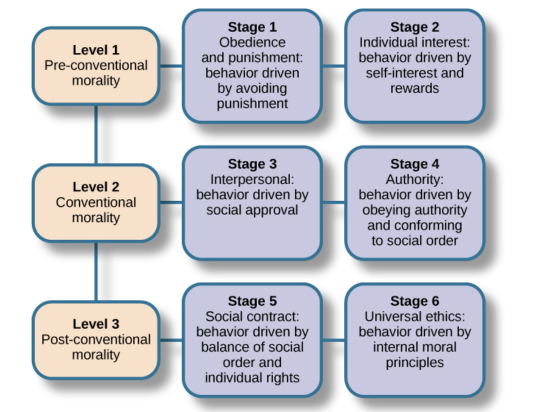<ol><li><p>Preconventional morality(before age9<br>whether objects have upside to them</p></li><li><p>conventional morality(Early adolescence<br>respect hierarchy, relationship</p></li><li><p>postconventional morality(Once formal operational thought is attained<br>individuals’ right, universal ethics</p></li></ol><p></p><p></p><p>1. Pre-conventional Morality（道徳以前：9歳未満）</p><p>この時期の子供にとって、正義とは「自分にメリットがあるかどうか」や。</p><ul><li><p><strong>判断基準:</strong> 身体的な<strong>罰</strong>を避けること、または<strong>報酬</strong>を得ること。</p></li><li><p><strong>ハインツの例:</strong></p><ul><li><p><strong>盗まない派:</strong> 「警察に捕まって刑務所に入れられる（罰）からダメ」</p></li><li><p><strong>盗む派:</strong> 「妻がいないと寂しくて自分が困る（利益）から盗む」</p></li></ul></li><li><p><strong>特徴:</strong> ルールそのものに意味があるのではなく、「見つからなければOK」という感覚が強い。</p></li></ul><p>2. Conventional Morality（道徳的：思春期〜）</p><p>社会の一員として、「他者との関係や秩序」を重んじる段階や。</p><ul><li><p><strong>判断基準:</strong> 他人の目（承認）と、<strong>法律やルール（社会の維持）</strong>。</p></li><li><p><strong>ハインツの例:</strong></p><ul><li><p><strong>盗まない派:</strong> 「盗みは法律違反や。みんなが盗んだら社会がめちゃくちゃになる（秩序）」</p></li><li><p><strong>盗む派:</strong> 「愛する妻を助けるのは夫として当然や。周りからも『いい夫だ』と思われる（承認）」</p></li></ul></li><li><p><strong>特徴:</strong> 「社会が決めたルール＝正しいこと」と捉える。多くの大人はこの段階（特に法律重視のStage 4）におるで。</p></li></ul><p>3. Post-conventional Morality（脱道徳的：形式的操作期以降）</p><p>法律よりもさらに上位の「普遍的な倫理」で考える、最も高度な段階や。</p><ul><li><p><strong>判断基準:</strong> <strong>個人の権利</strong>や、生命の尊厳といった<strong>普遍的な正義</strong>。</p></li><li><p><strong>ハインツの例:</strong></p><ul><li><p><strong>盗まない派:</strong> 「薬剤師にも所有権という権利がある。感情に流されて他人の権利を侵害すべきではない（社会契約）」</p></li><li><p><strong>盗む派:</strong> 「法律よりも、一つの『命』の価値の方が重い。人間として命を救うことが最優先されるべきや（普遍的倫理）」</p></li></ul></li><li><p><strong>特徴:</strong> ピアジェの「形式的操作期（Formal Operational Thought）」に達し、抽象的な思考ができるようになって初めて到達できる。ただし、全員がここに辿り着くわけやない。</p></li></ul><p></p>