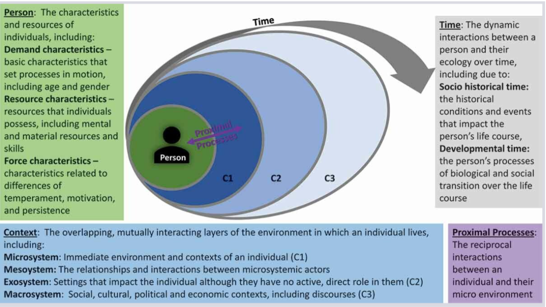<p>A framework proposed by Urie Bronfenbrenner used to understand how human development is shaped by the interconnectedness of dynamic interactions in the environment around someone, which is split into five ecosystems that all have varying degrees of influence on a person. </p>