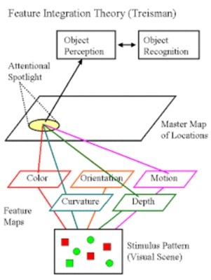 <ol><li><p>feautre segregation</p><ol><li><p>feature maps</p></li></ol></li><li><p>features come together on the master map</p></li><li><p>top-down processes of recognising and attention</p></li></ol><p>explains how we recognise</p><p></p>