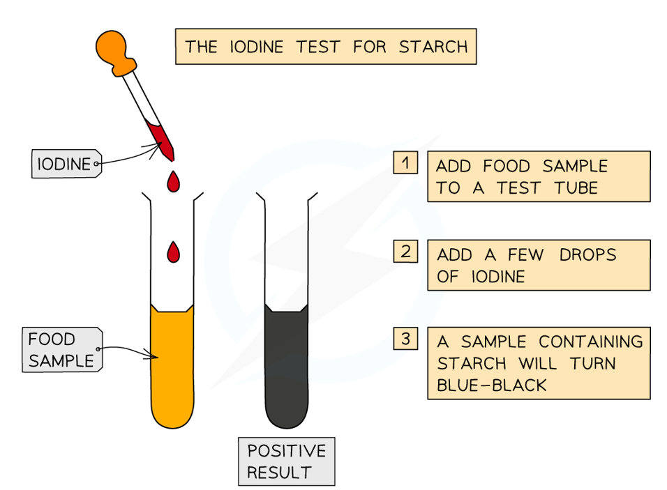 <p><strong>Iodine test:</strong></p><ul><li><p>add iodine solution to the sample</p></li><li><p>if starch is present, the solution will immediately change from orange/brown to blue/black colour</p></li></ul><p></p>