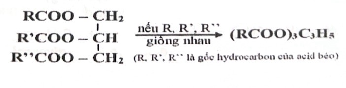 <p>(RCOO)<sub>3</sub>C<sub>3</sub>H<sub>5, </sub>R là gốc hydrocarbon của acid béo.</p>