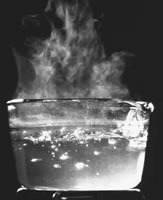 <p>endothermic</p>