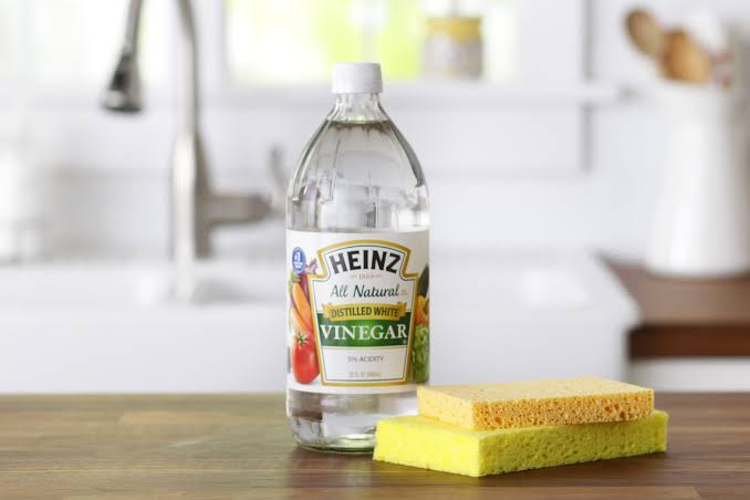 <p>vinegar</p>