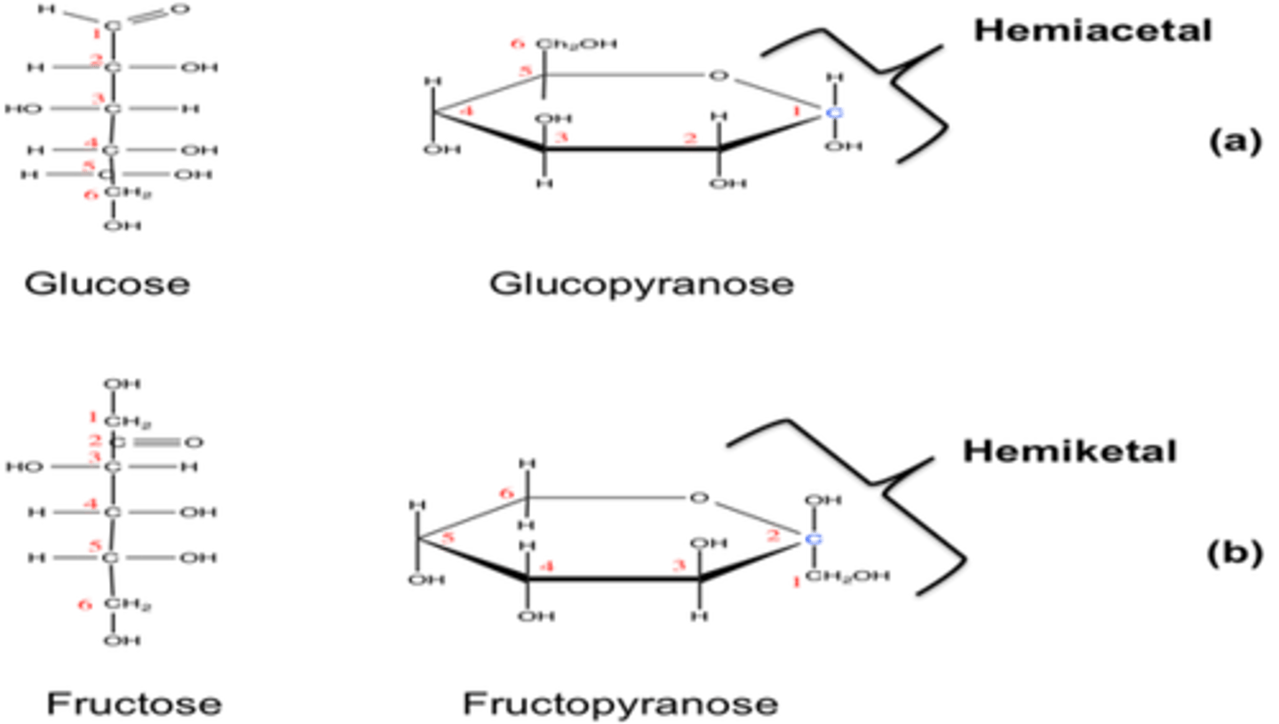 <p>hemiacetal = from aldoses</p><p>hemiketals = from ketoses</p>