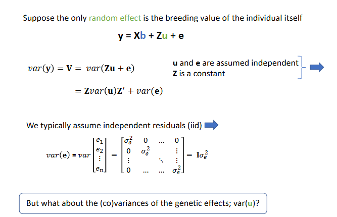 <p>Residual identical distributed</p>