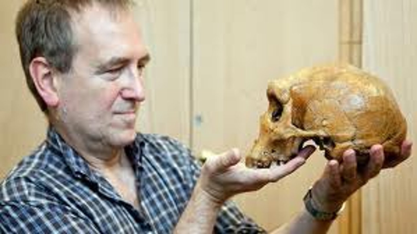 <p>/ˌpeɪ.li.oʊˌæn.θrəˈpɒl.ə.dʒɪst/</p><p>nhà cổ nhân học</p><p>paleo- = ancient, old (cổ đại)</p><p>anthropo- = human (con người)</p>
