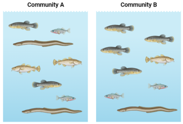 <p>Which community is more even?</p>