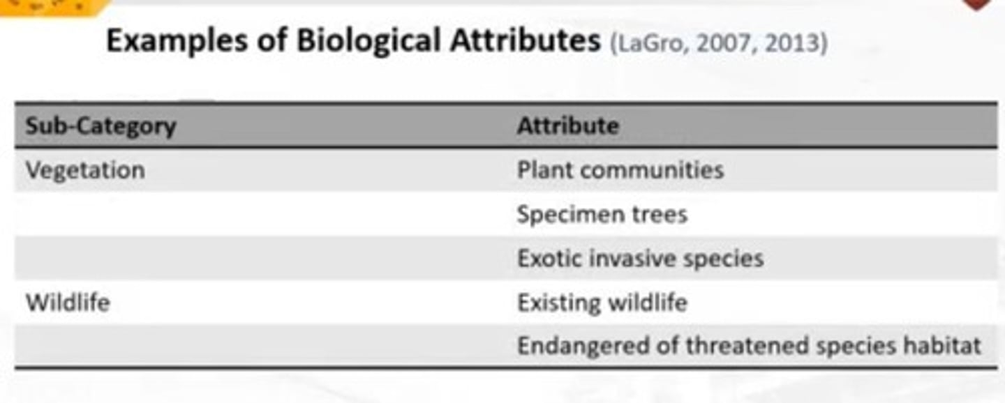 <p>Attributes related to vegetation and wildlife, such as existing plant communities and endangered species habitat.</p>