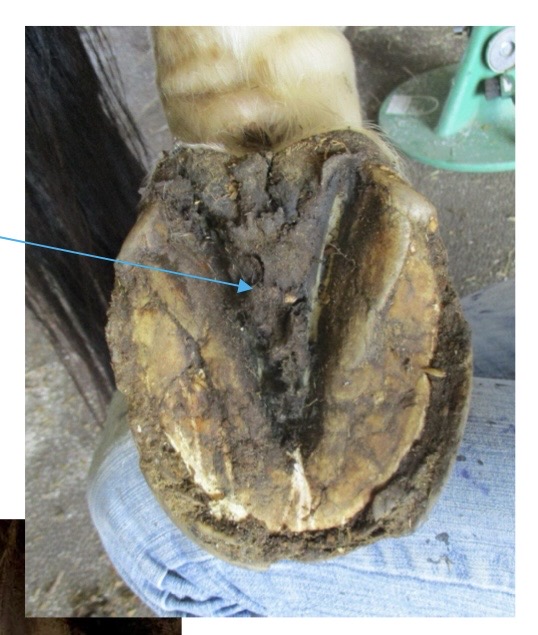 <p>what is this?</p>