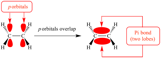 <ul><li><p>formed by the sideways overlap of <strong>unhybridized p orbitals</strong> with the electron density concentrated above and below the plane of the nuclei of the bonding atoms.</p></li><li><p>pi bond is weaker than a sigma bond</p></li><li><p>Pi bonds also restrict rotation around the bond axis</p></li></ul><p></p>