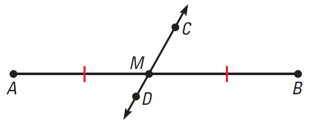 <p>What is a segment bisector? </p>