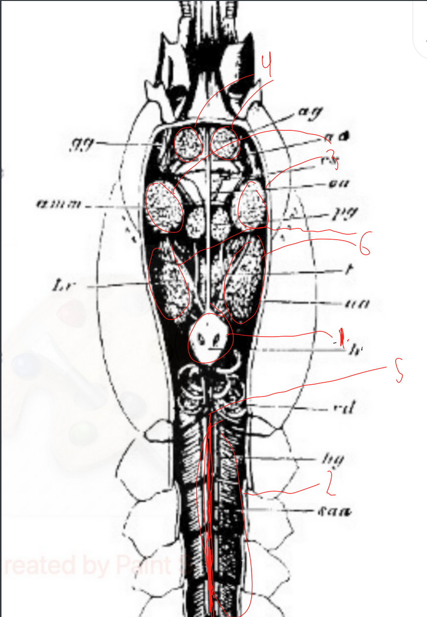 <p>3</p>