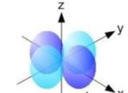 <p>What is this shape and what orbitals assume it?</p>