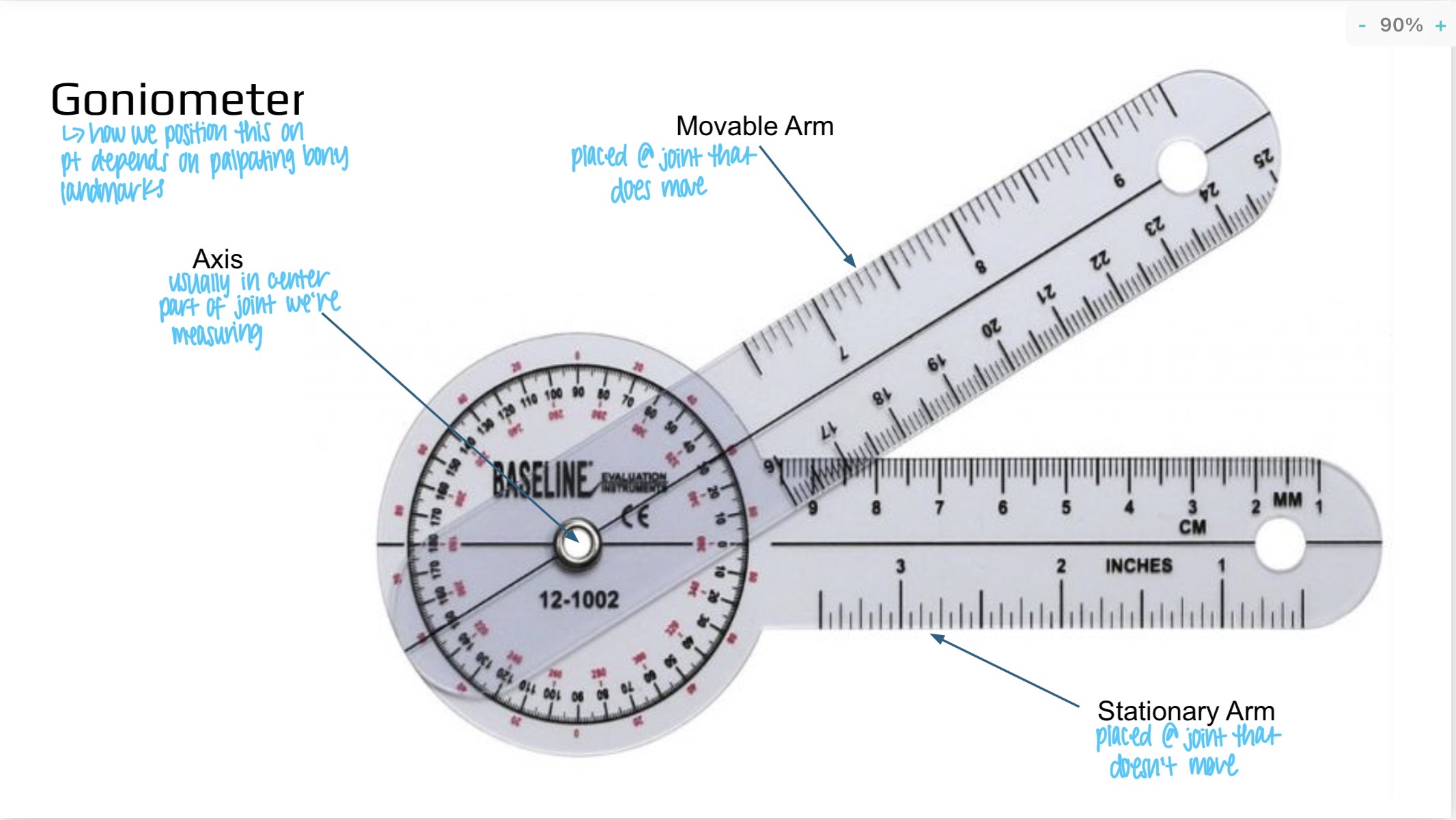 <p>At the center of the joint being measured</p>