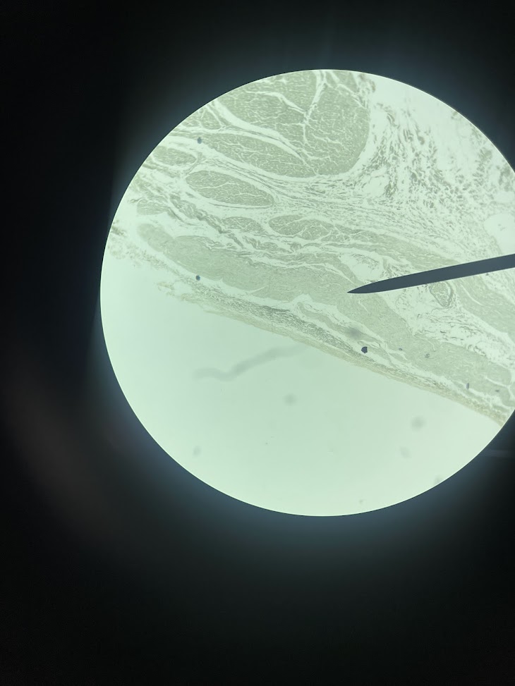 <p>structure name + layer name</p>