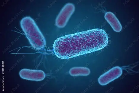 <p>Rod (Bacilli)</p>