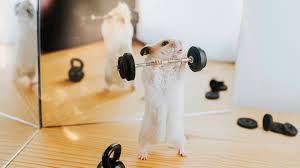 <p>Having a strong desire to succeed, achieve a big goal, or do something important.</p>