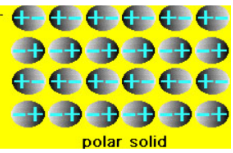 <p><strong>positive, negative </strong></p>