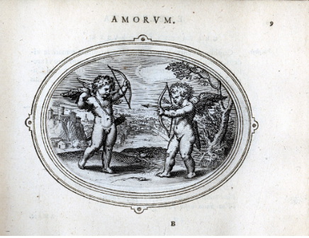 term image