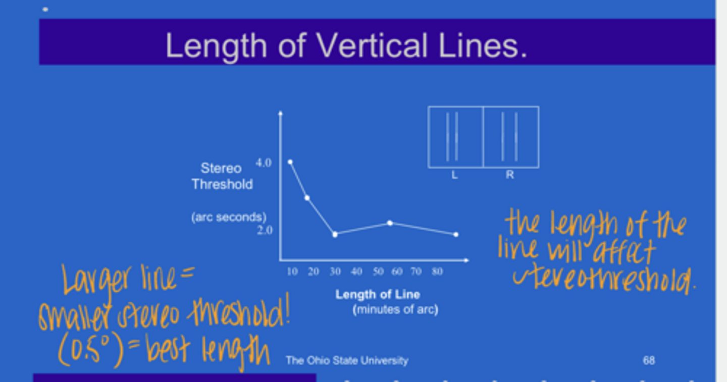 <p>What length of vertical lines will result in the best stereoacuity?</p>