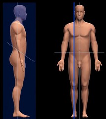 <p>A plane that divides the body into right and left portions. (parallel to the median plane)</p>