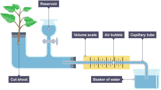 <p>measures by finding distance air bubbles move over time</p>