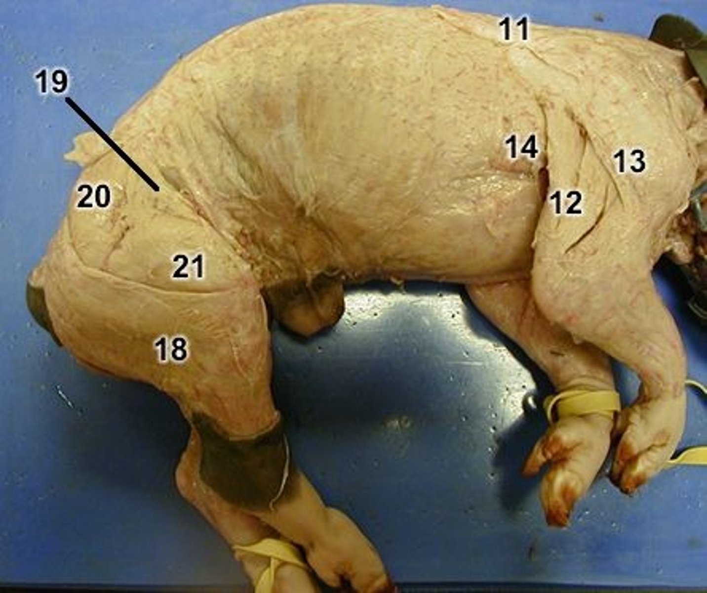 <p>13 = ?</p>