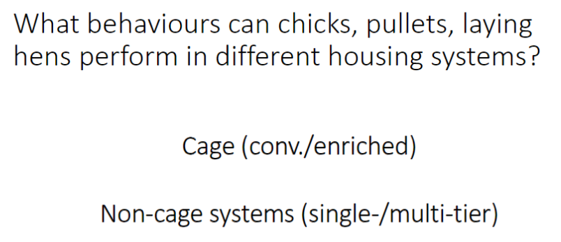 <p><strong>Cage Systems (Conventional/Enriched)</strong></p><p><strong>Non-Cage Systems (Single-/Multi-Tier)</strong></p><p><strong>Key Point</strong><br>ā<strong>Housing system strongly affects hensā ability to perform natural behaviours</strong>, impacting welfare and motivation</p>