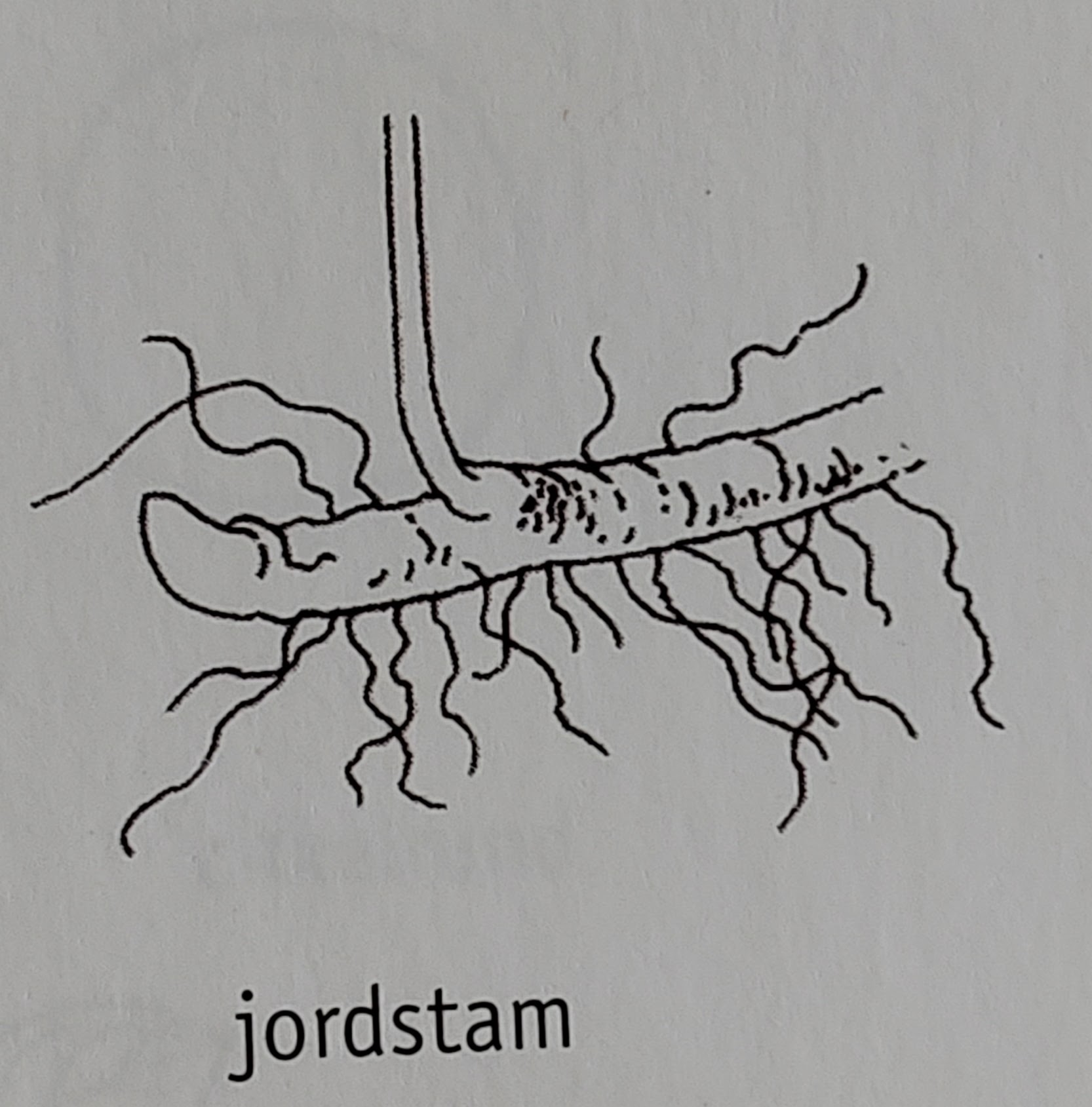 <p></p>
