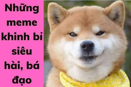 <p><em>(v)</em>: khinh bỉ, coi thường, khinh xuyết.</p>
