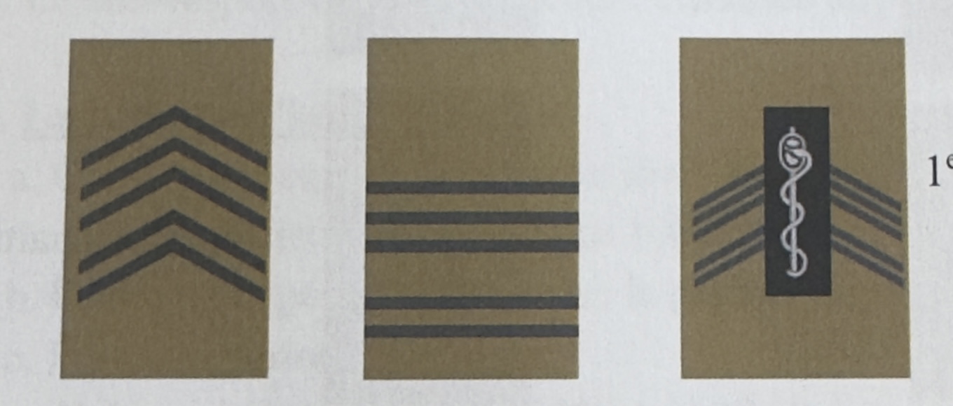 <p>Sous-Officiers d’élites 4/7</p>