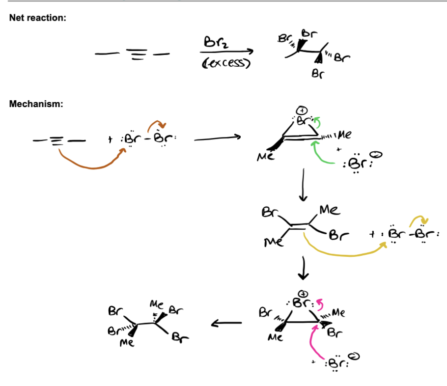<p>MEMORIZE: alkyne attacks Br2, makes ALKENE bridge and Br anion, Br anion added to bridge anti fashion repeat until its an ALKANE with 4 Br ( tetra substituted alkane) STEPS: terminal alkyne (nucl) attacks the Br2, forms a bromonium bridge and Br anion, the Br anion attacks bridge forming a dibrominated alkene in ANTI fashion, the dibrominated alkene attacks another Br2 forming a bridge and Br anion, kicking off a Br, forming a bridge and Br anion, Br anion anion attacks bridge forming tetra substitued alkane</p>