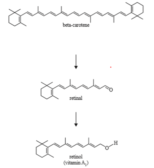 <p>Beta-carotene si trova natualmente nelle arance e nei vegetali di colore giallo o arancione. Nell'uomo può essere convertito in vitamina A come mostrato dallo schema seguente. Che tipo di informazioni si possono trarre da questo schema?9</p>
