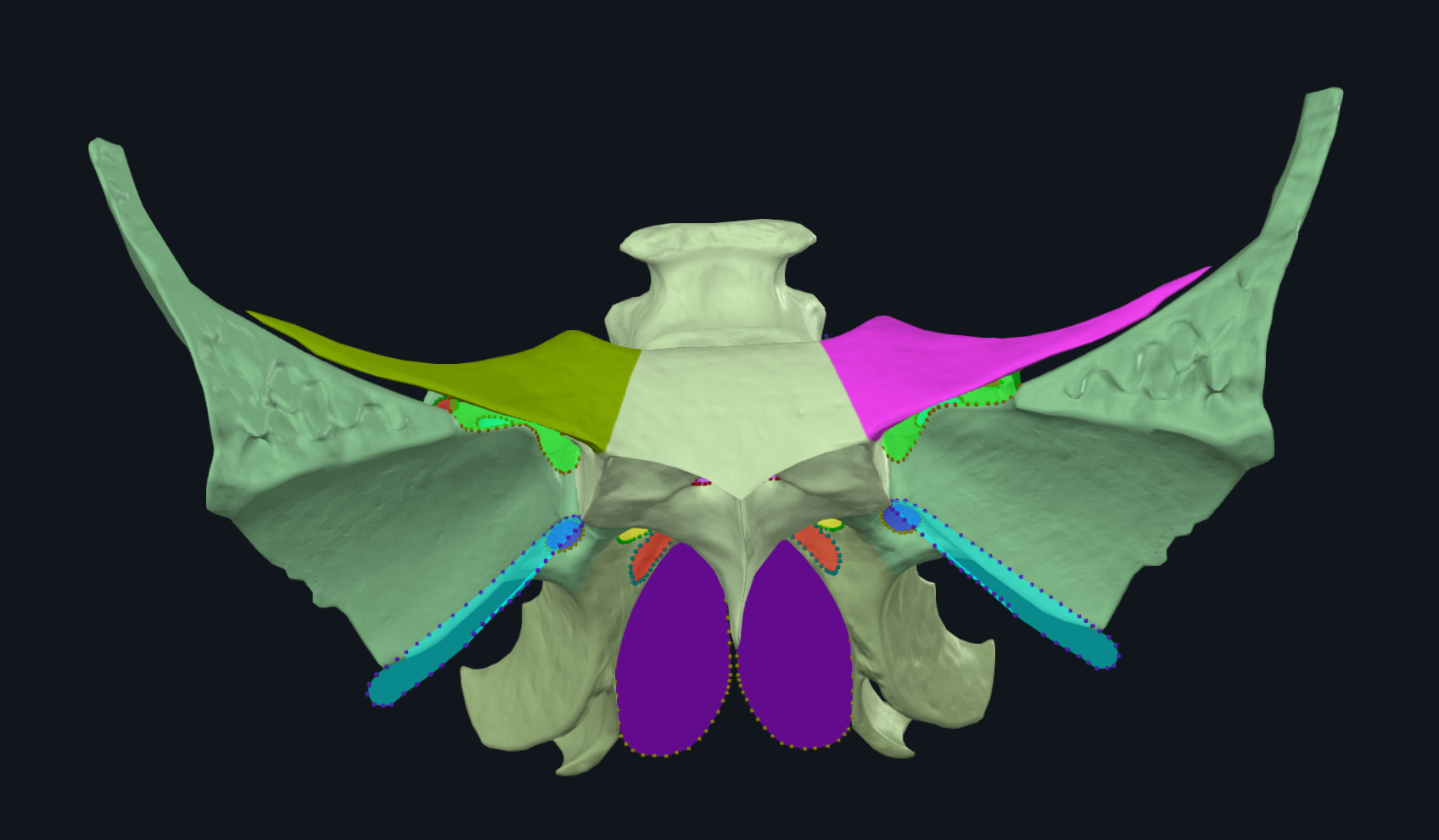 term image