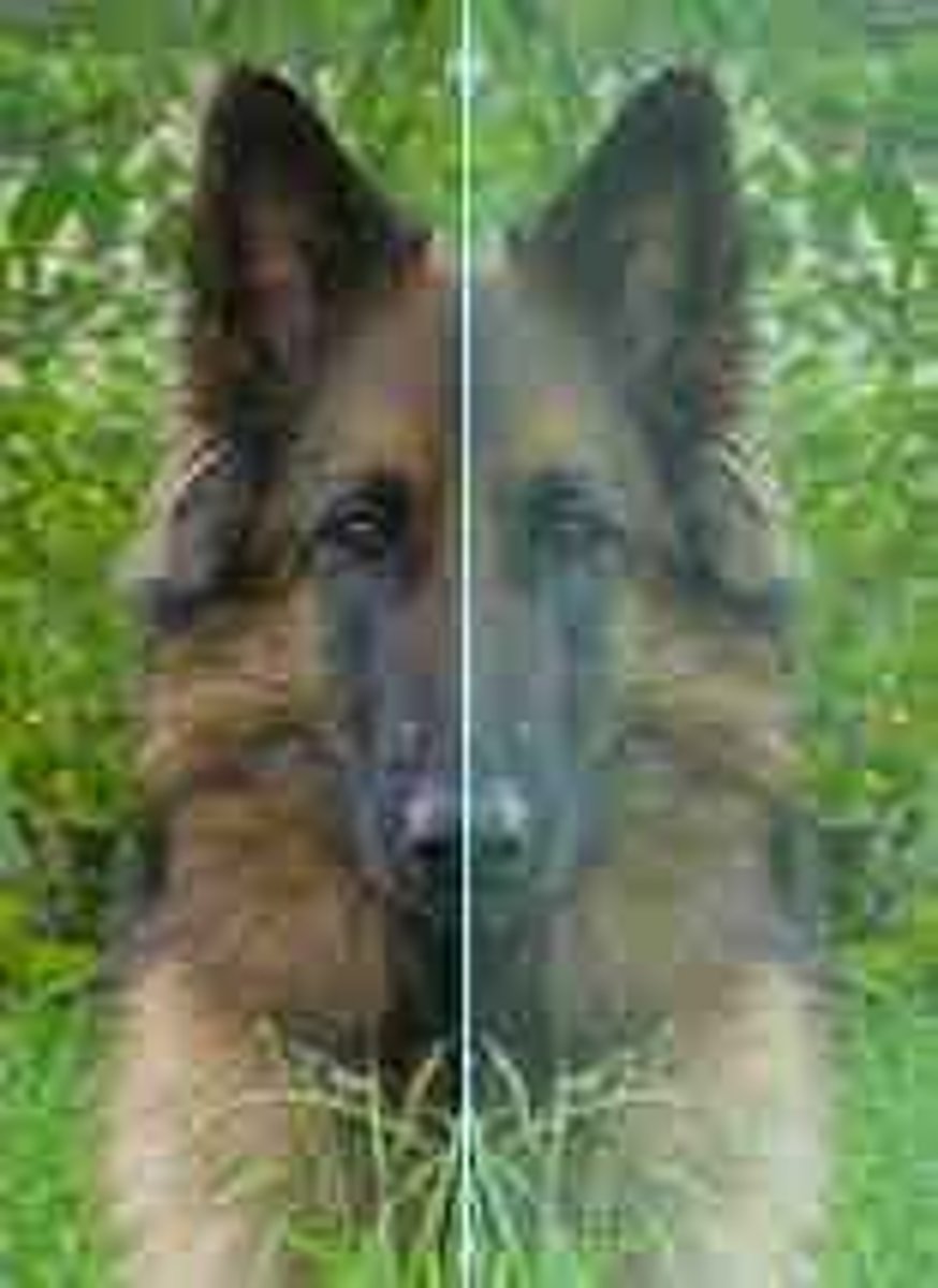 <p>a type of symmetry in which a line divides a figure into two congruent parts that are mirror images</p>