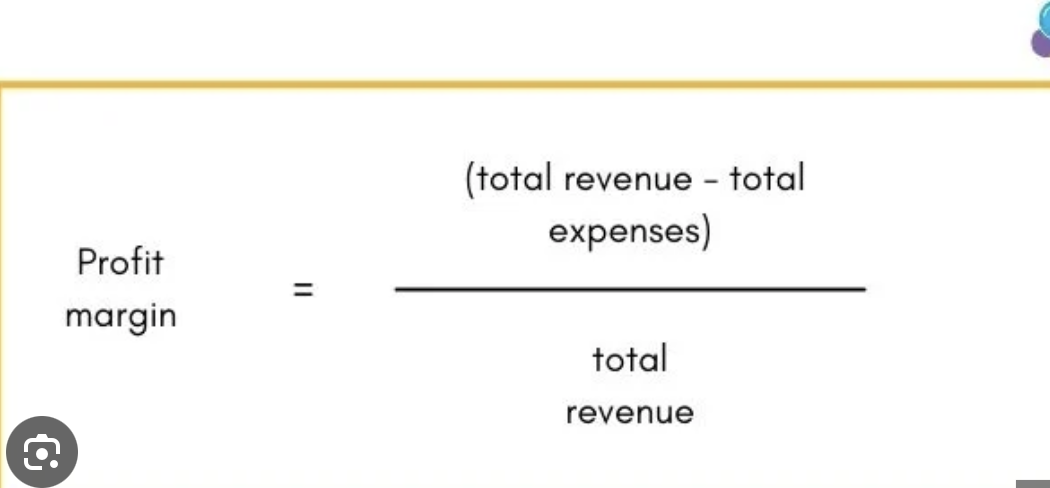 <p>profit (revenue-costs)/ revenue </p>