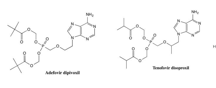 <ul><li><p>Adenosine analogues</p></li><li><p>DNA polymerase Reverse transcriptase inhibitors</p></li><li><p>Originally developed for the treatment of HIV</p></li><li><p>Tenofovir more potent</p></li><li><p>Fumarate salt</p></li><li><p>Prodrugs w/ two pivaloyloxymethyl or diisoproxil groups</p><ul><li><p>Oral bioavailability</p></li><li><p>Monophosphate rate-limiting step in situ activation</p></li><li><p>Circumvent resistance</p></li><li><p>Activated by cellular adenylate kinase (adds second phosphate</p></li><li><p>Leads to a 91% lower serum concentration of tenofovir</p></li><li><p>Reduced off-target exposure to the drug</p></li><li><p>Lower adverse effects</p></li></ul></li></ul><p></p>