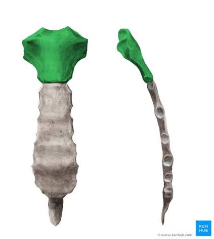<p>What is this?</p>
