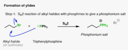 <p>Ylide formation, need a leaving group, and adds the </p>