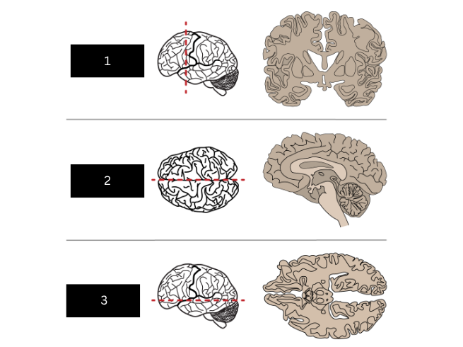 <p>what is figure 2</p>