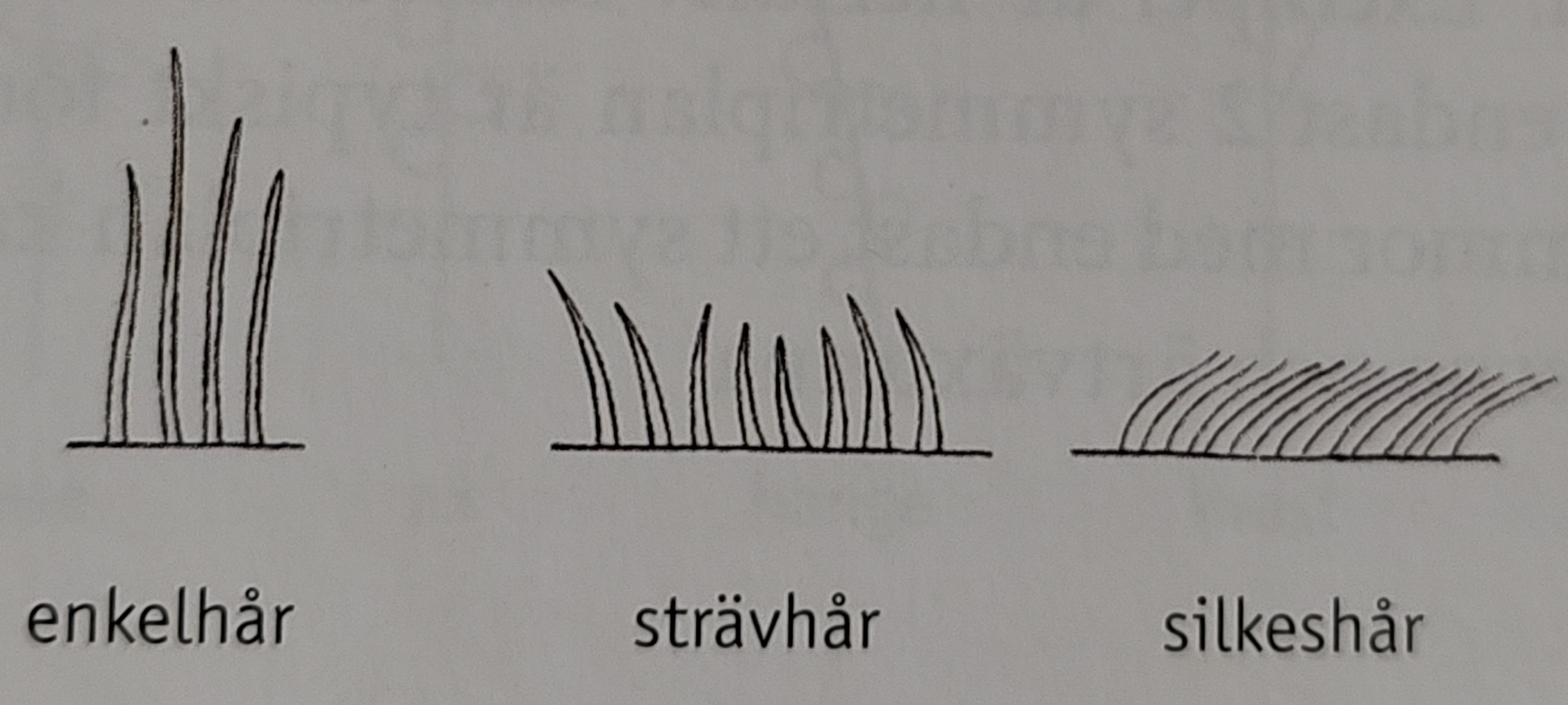 <p></p>
